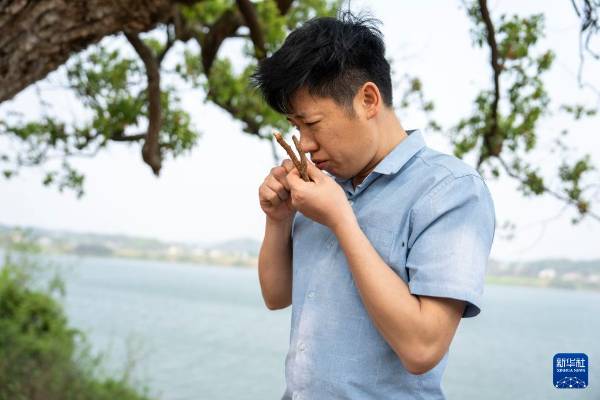 1743577635205218.jpg 14.jpg