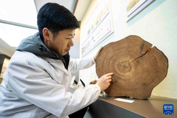 1743577668461280.jpg 19.jpg