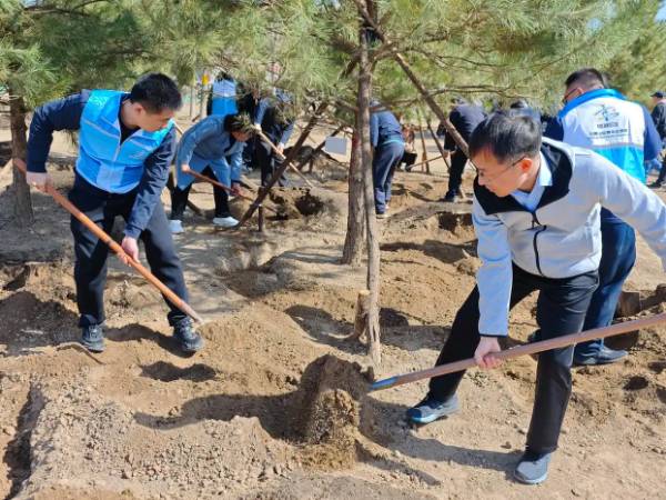 1743578362942037.jpg 1 (1).jpg