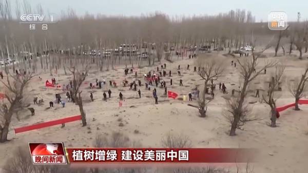 1743652857788830.jpg 2.jpg