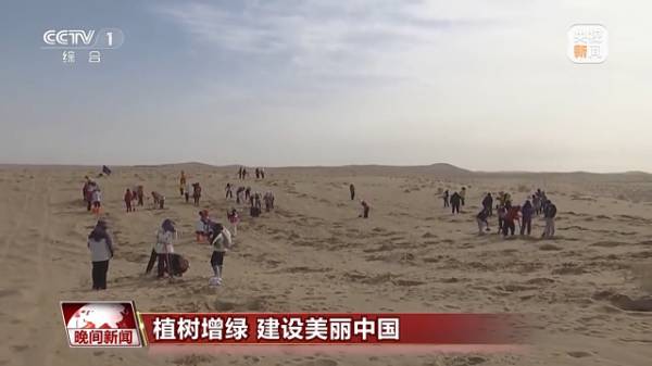 1743652905737160.jpg 5.jpg