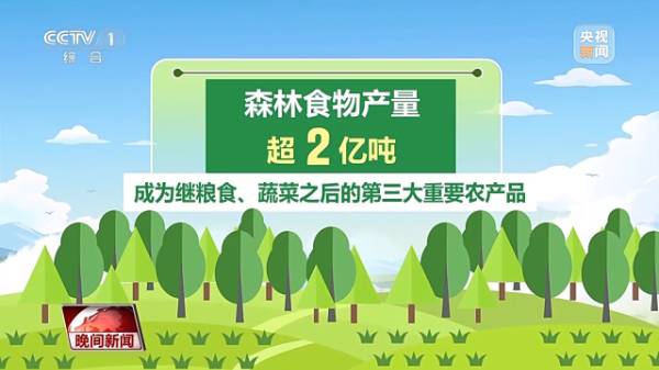 1743652955900052.jpg 7.jpg