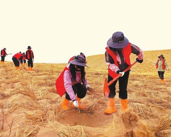 1743654841716892.jpg 2 (1).jpg