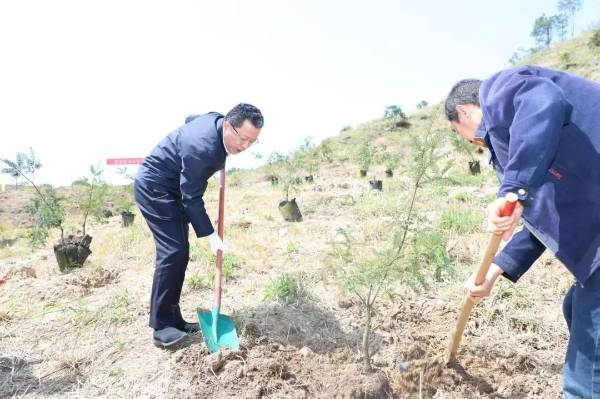 1743655296515910.jpg 6 (1).jpg