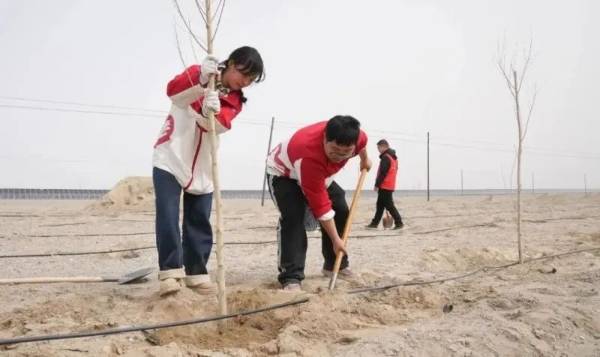 1743655645270849.jpg 8 (1).jpg