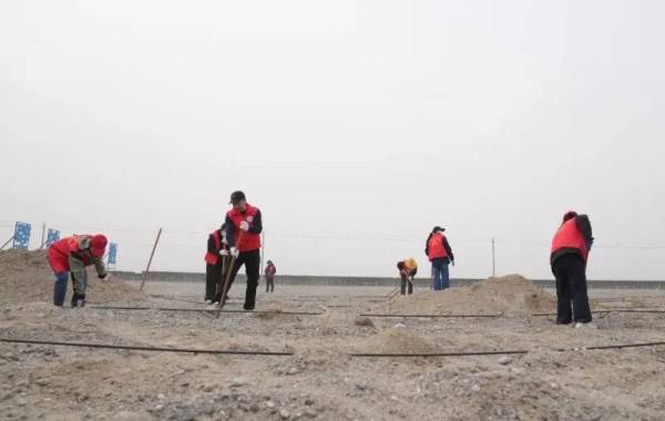 1743655657409417.jpg 10 (1).jpg