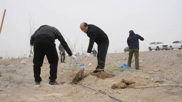 1743655670945853.jpg 9 (1).jpg