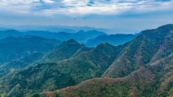 1743655859914995.jpg 11 (1).jpg