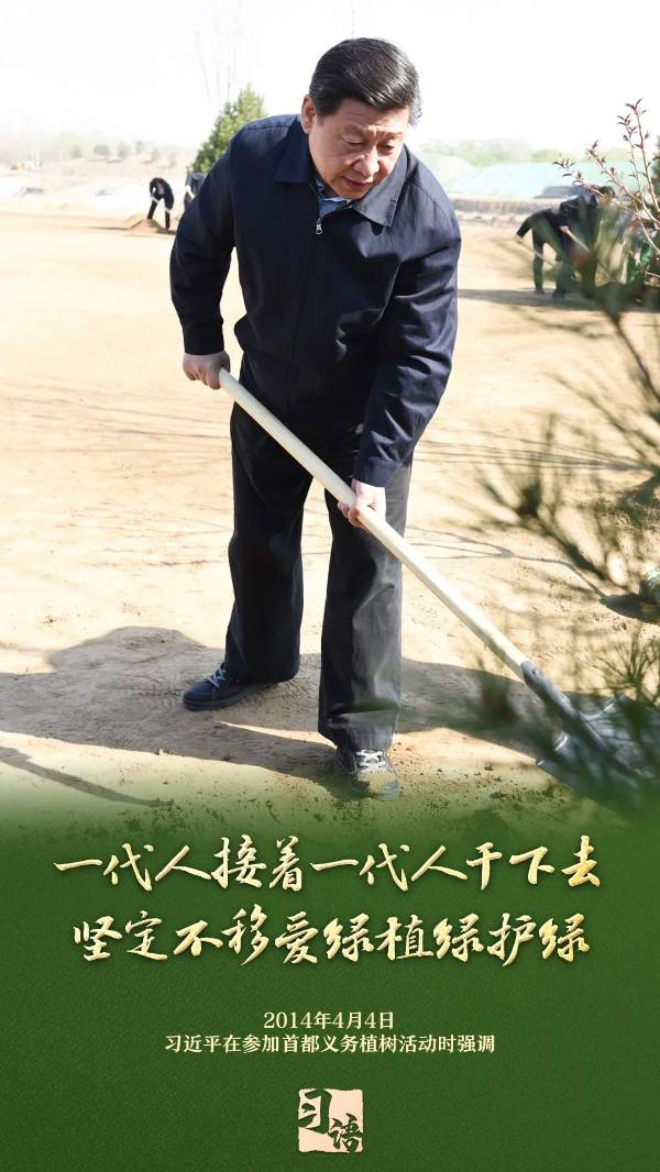 1743989378844786.jpg 2.jpg