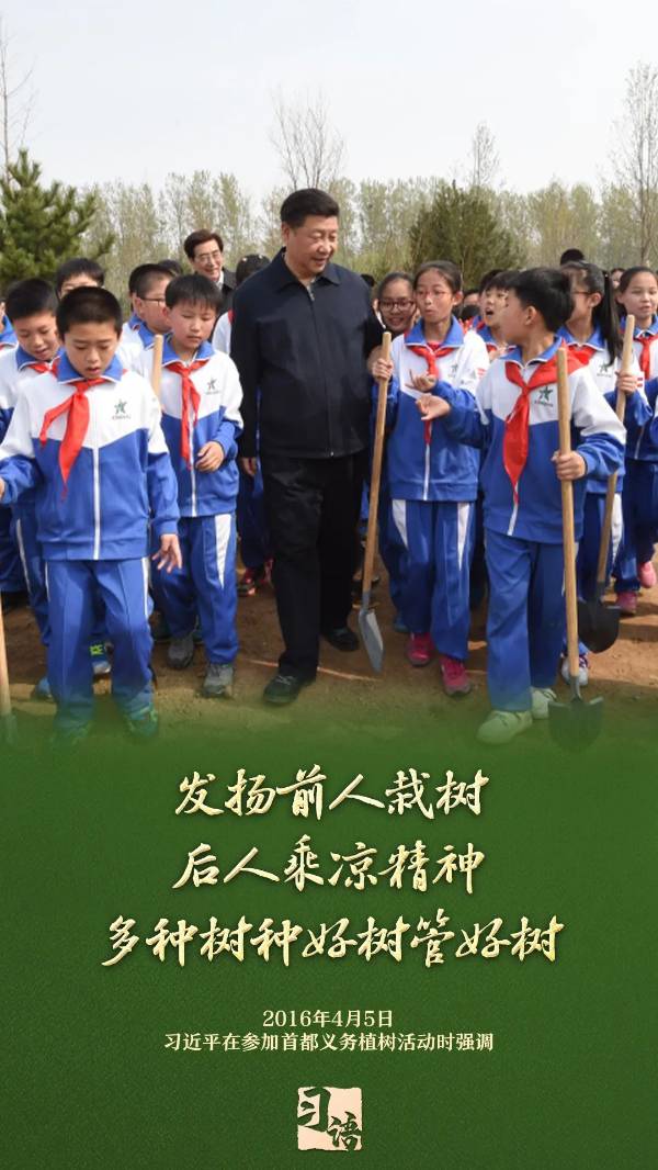 1743989386406205.jpg 4.jpg