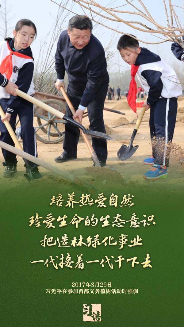 1743989390264459.jpg 5.jpg