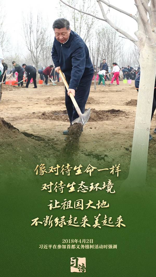 1743989396271589.jpg 6.jpg