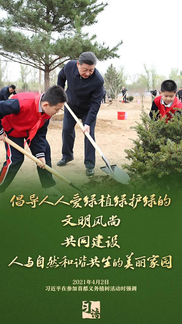 1743989470291475.jpg 9.jpg