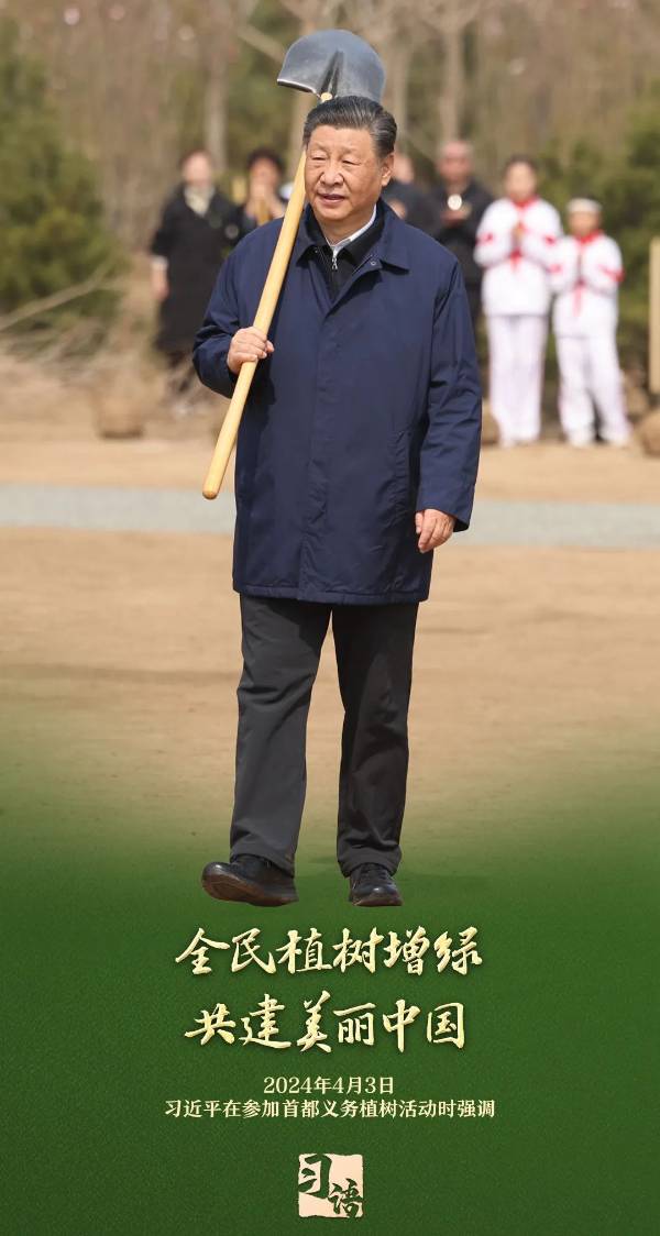 1743989481511720.jpg 12.jpg