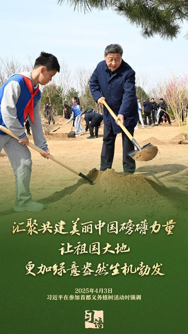 1743989487649731.jpg 13.jpg