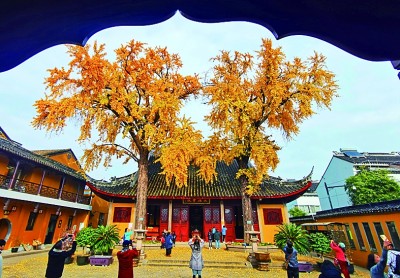 1744005249494094.jpg 1.jpg