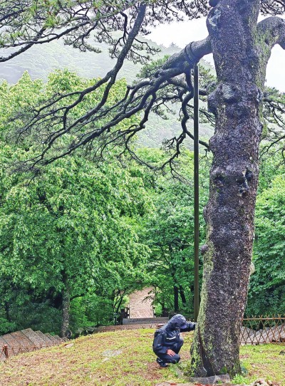 1744005257944319.jpg 2.jpg