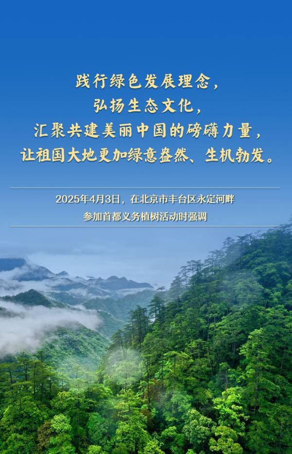 1744005537232485.jpg 1.jpg