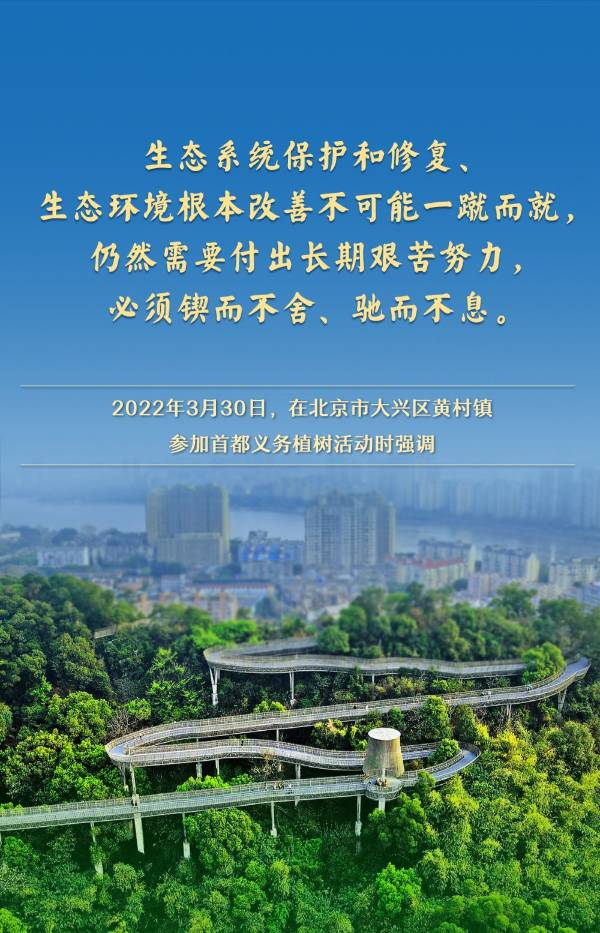 1744005548848305.jpg 4.jpg