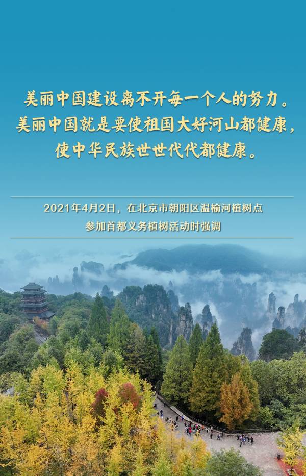 1744005552354372.jpg 5.jpg