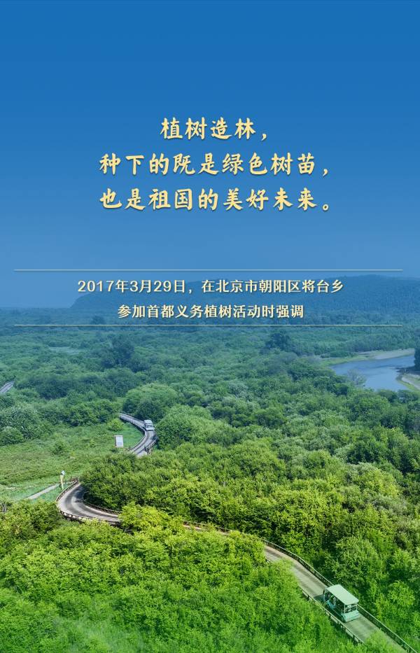 1744005567806100.jpg 9.jpg