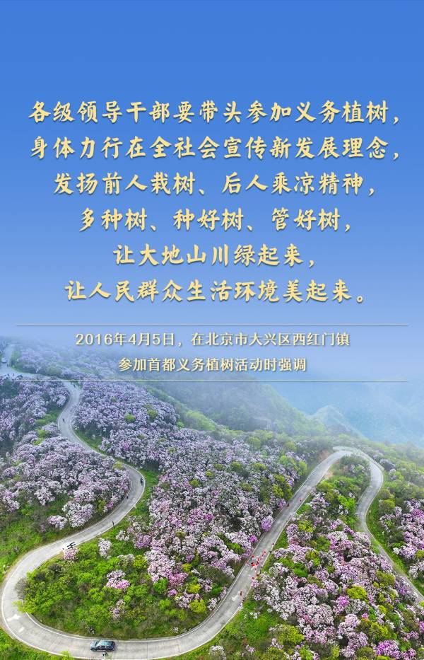 1744005570728510.jpg 10.jpg