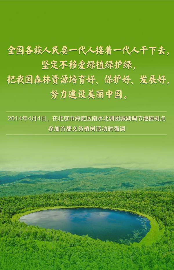 1744005577686817.jpg 12.jpg