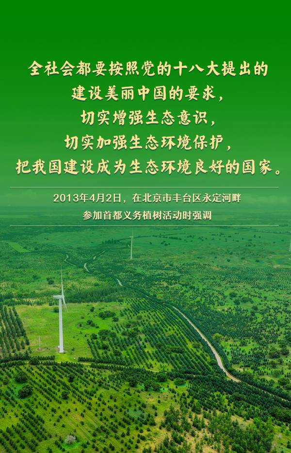 1744005581547754.jpg 13.jpg