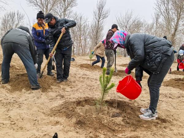 1744006877294797.jpg 1 (1).jpg