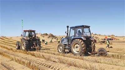 1744007043671550.jpg 3.jpg