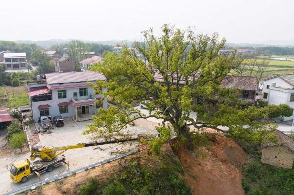 1744007217994358.jpg 1 (1).jpg