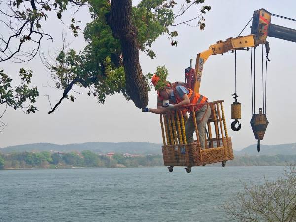 1744007225381407.jpg 2 (1).jpg