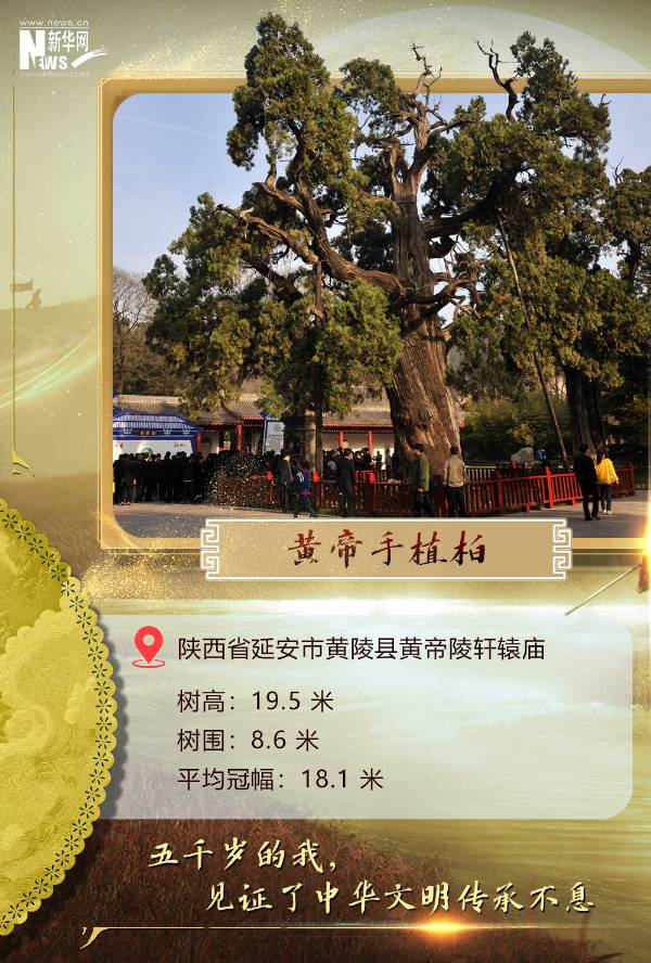 1744007488635454.jpg 1.jpg