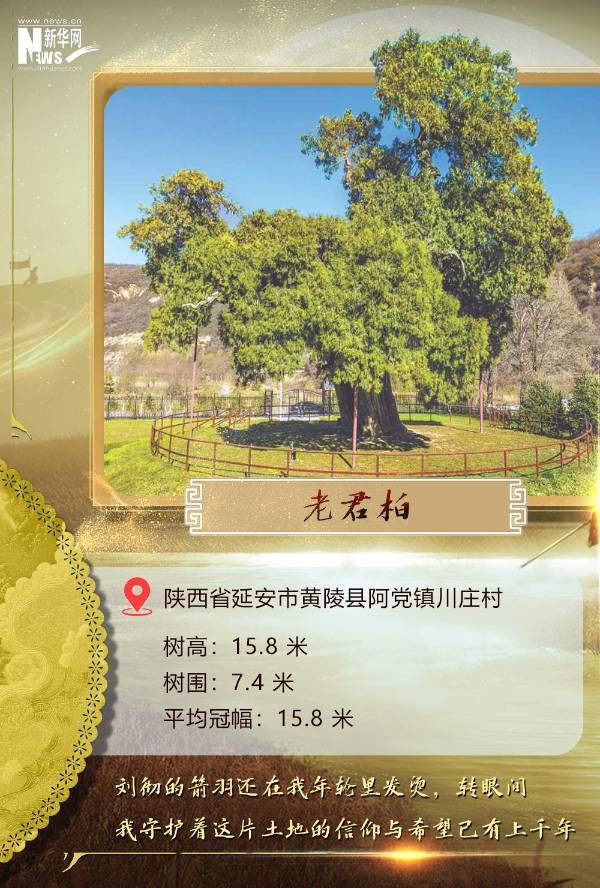 1744007504977178.jpg 3.jpg