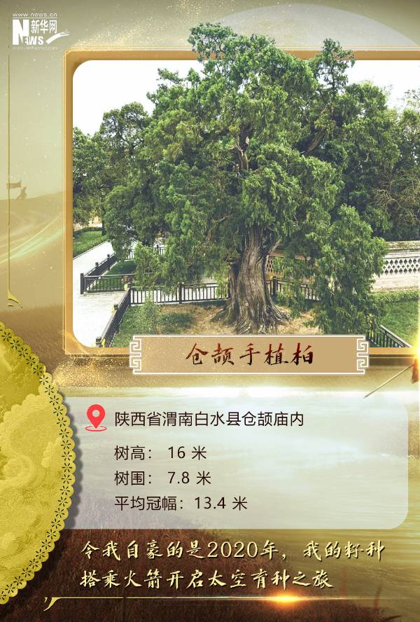 1744007512522951.jpg 4.jpg