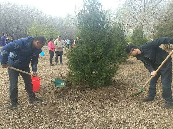 1744007735824586.jpg 1.jpg