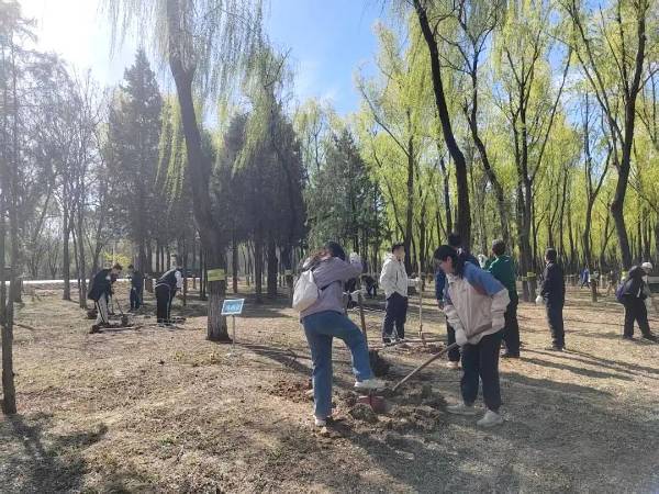 1744007746751826.jpg 3.jpg