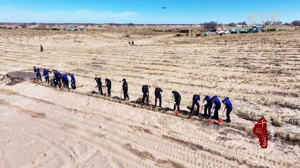 1744008022617634.jpg 3 (1).jpg