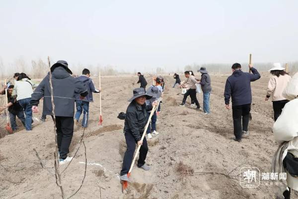 1744015035640738.jpg 1 (1).jpg