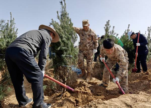 1744015142299427.jpg 1 (1).jpg