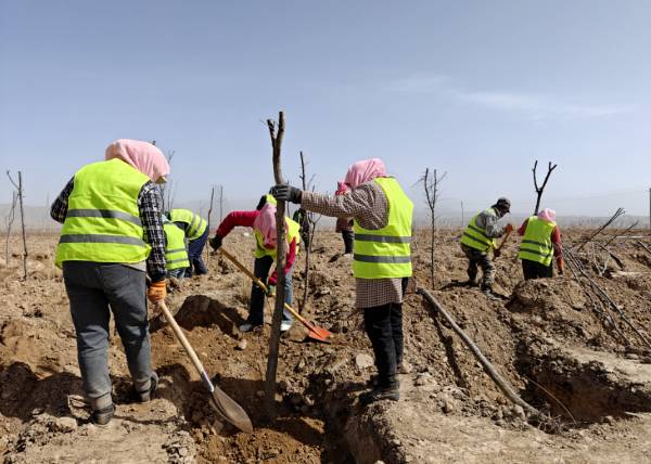 1744015149410136.jpg 2 (1).jpg