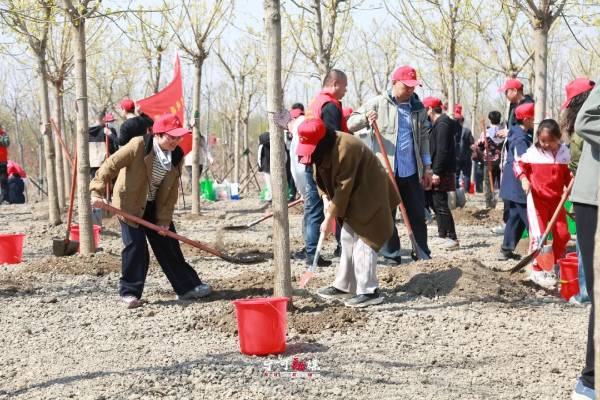 1744015382611303.jpg 1 (1).jpg