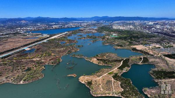 1744015808441893.jpg 2.jpg