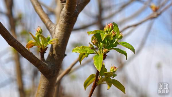 1744015839381950.jpg 3.jpg