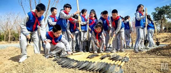 1744015850519678.jpg 5.jpg