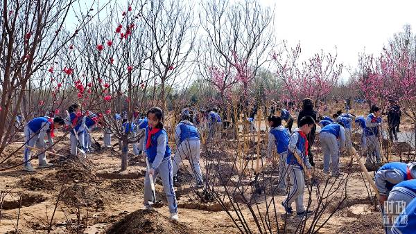 1744015856648860.jpg 6.jpg