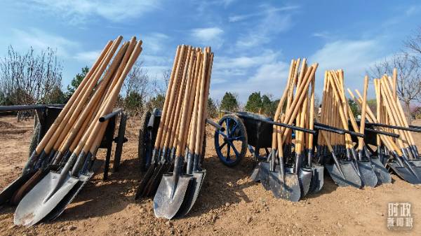 1744015910901830.jpg 11.jpg