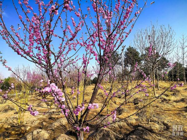 1744015921414421.jpg 12.jpg