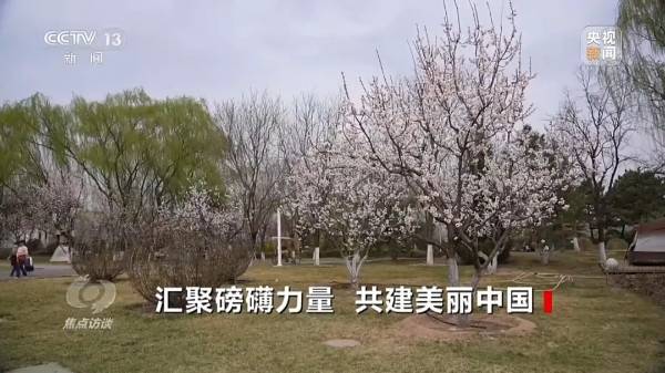 1744016561631969.jpg 2.jpg