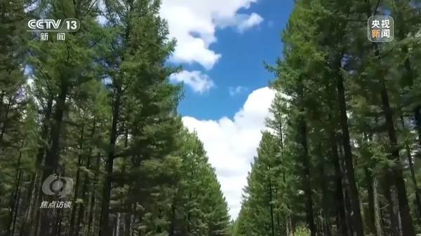 1744016580228509.jpg 5.jpg